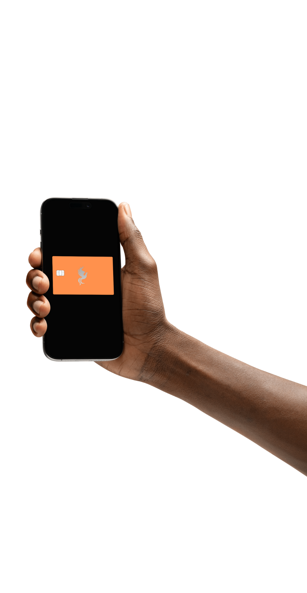 Fenix Wallet Hero